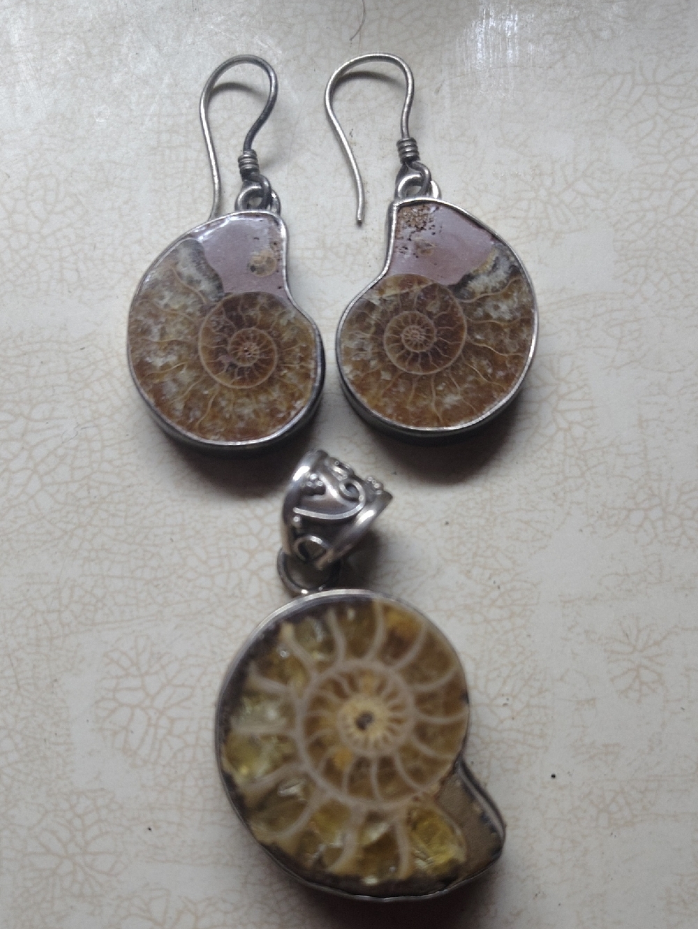 Fossil Ammonite Shell Earrings and Pendant Set - Natural Brown